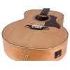 Bromo BAN 7E Danali Series jumbo guitar with solid spruce top