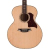 Bromo BAN 7E Danali Series jumbo guitar with solid spruce top
