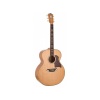 Bromo BAN 7E Danali Series jumbo guitar with solid spruce top