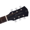 Larry Carlton G5A NTS