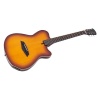 Larry Carlton G5A NTS
