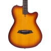 Larry Carlton G5A NTS