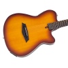 Larry Carlton G5A NTS