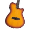 Larry Carlton G5A NTS