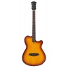Larry Carlton G5A NTS