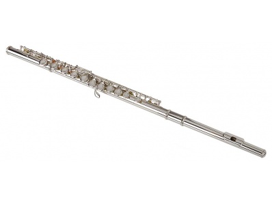 Belcanto X Series BX 410