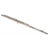 Belcanto X Series BX 410