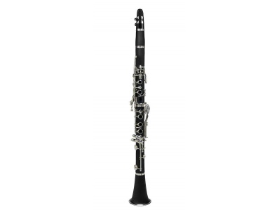 Belcanto X Series BX 950
