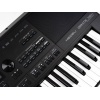 MEDELI DANTE -ZEN Arranger Pro Series digital workstation