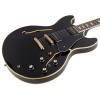 Larry Carlton H 7V VS