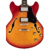 Larry Carlton H 7/CS