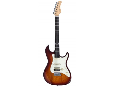 Larry Carlton S1 TS