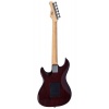 Larry Carlton S1 TS