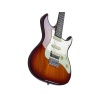 Larry Carlton S1 TS