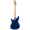 Larry Carlton S1 DNA