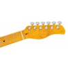 Larry Carlton T7N BSB butterscotch blonde