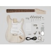 BOSTON KITST 10 guitar assembly kit