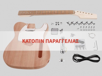 BOSTON KIT TE 15 guitar assembly kit