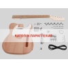 BOSTON KIT TE 15 guitar assembly kit