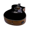 BAN4CE BK Bromo Denali Series Hillside auditorium guitar