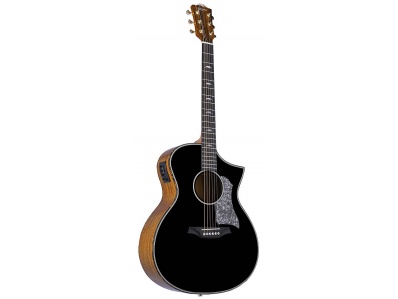 BAN4CE BK Bromo Denali Series Hillside auditorium guitar