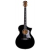 BAN4CE BK Bromo Denali Series Hillside auditorium guitar
