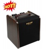 STAGEMANN II Ακουστικός Ενισχυτής 80 W