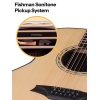 BROMO BAT 4 CE 12 string auditorium guitar