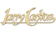 Manufacturer - Larry Carlton